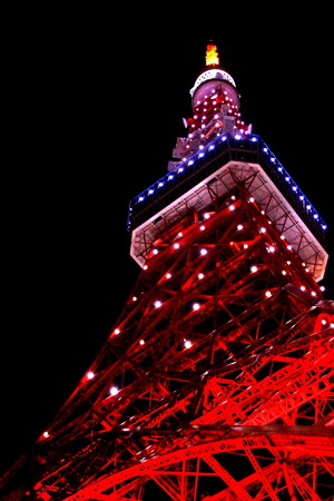 下からの東京タワーライトアップ