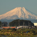 写真: 今日の朝の富士山の雪