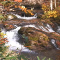 写真: 秋の渓流　照葉峡A