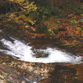 Photos: 滝壺への流れ　照葉峡の秋