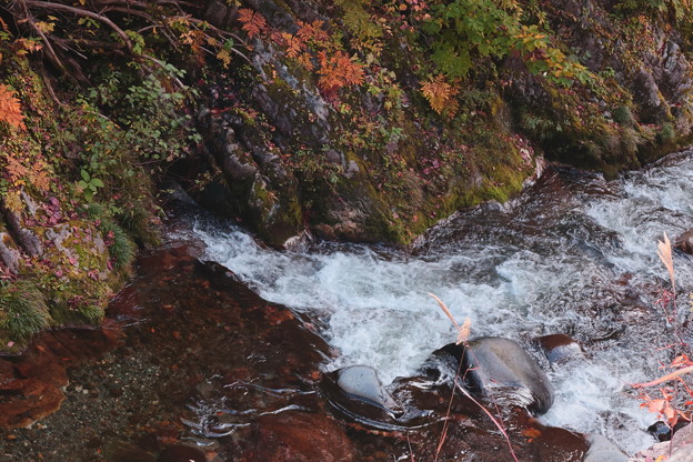 写真: 秋の照葉峡の渓流B