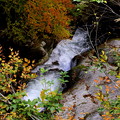 岩の間を流れる　照葉峡の秋
