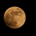 Photos: 皆既月食前の満月