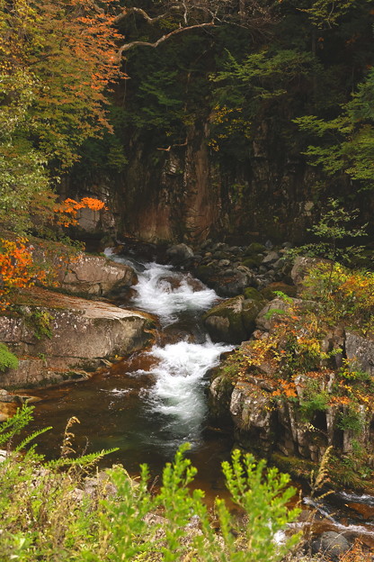 写真: 白龍の滝の紅葉