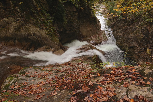 写真: 紅葉の渓流風景　照葉峡