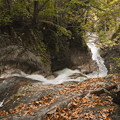 秋の照葉峡の渓流