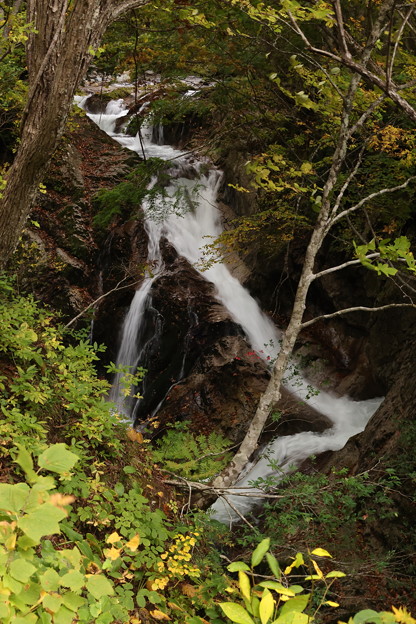 Photos: 岩魚の滝の紅葉
