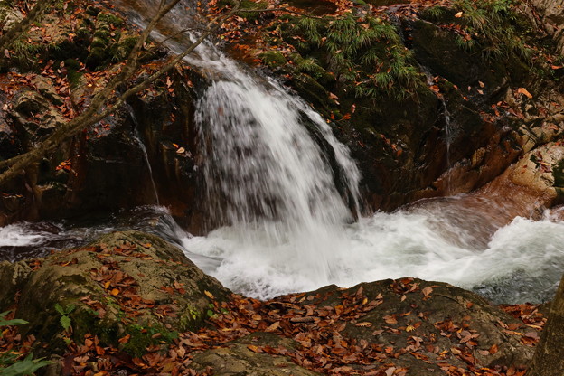 Photos: 落葉のある岩魚の滝の流れ