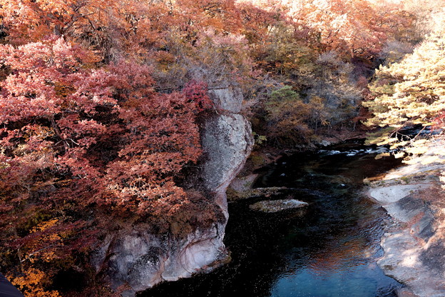 写真: 岸壁と川の紅葉