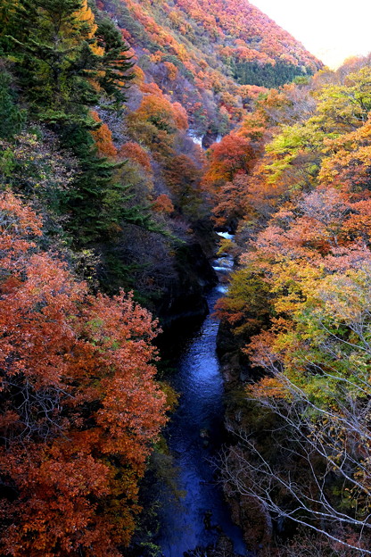 Photos: 溪谷の紅葉（吹割大橋）