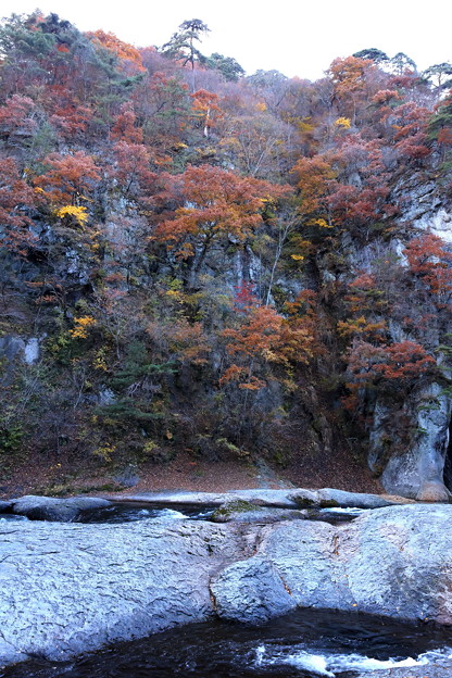 Photos: 吹割の滝の岸壁との紅葉