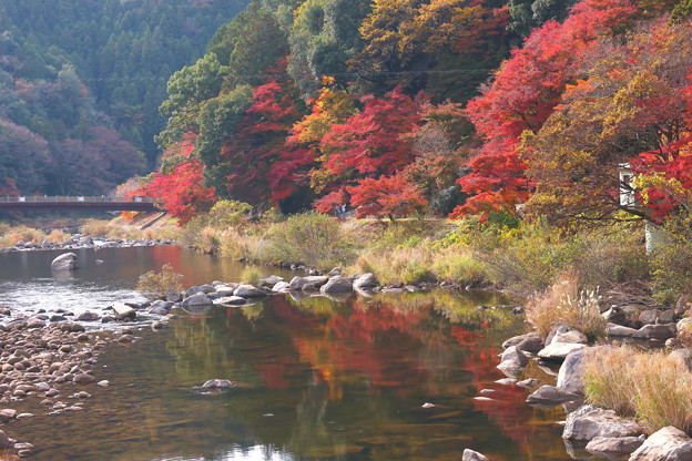 写真: 薫楓橋と巴川への紅葉の反映