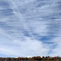 Photos: 澄み切った空に　雲模様