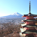 Photos: 新倉山元日の富士山と五重塔