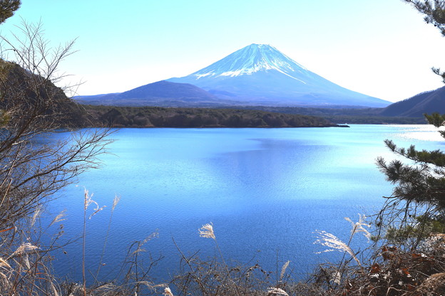 写真: 元日の本栖湖よりの富士山