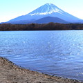 精進湖の岸辺と富士山