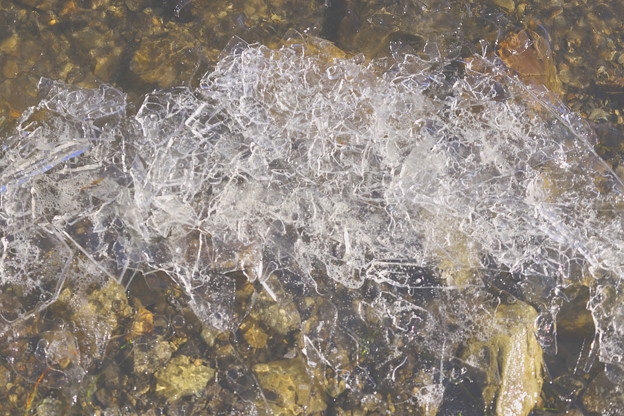 Photos: 精進湖　氷の結晶