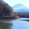 Photos: 精進湖からの富士山