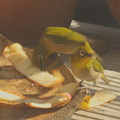 Photos: りんごの皮を啄むメジロ