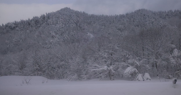 写真: 東北中央自動車道の雪景色３