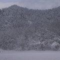 写真: 東北中央自動車道の雪景色３