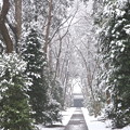 多福寺の参道雪景色