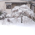 初雪降雪風景