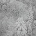 蔵王の雪景色７