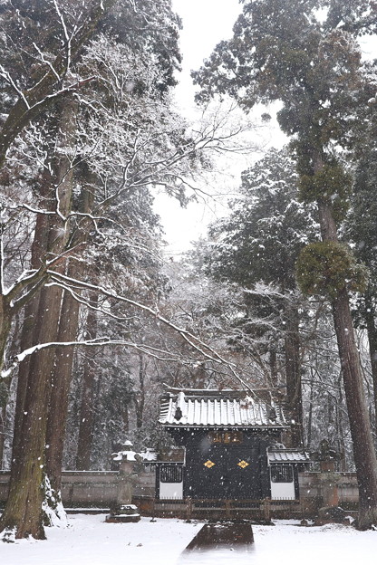 多福寺山門への初雪
