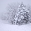 蔵王積雪風景