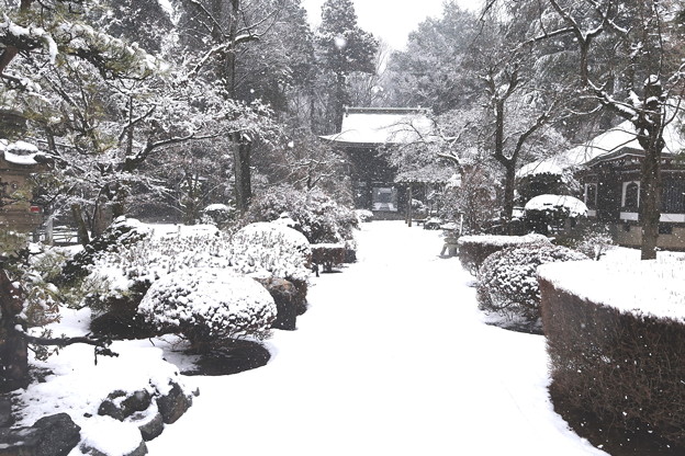 本堂より総門への雪景色
