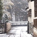 多福寺の塀への降雪