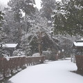 多福寺の初雪の境内
