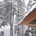 庫裡の屋根と降雪