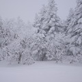 Photos: 蔵王の雪景色１０