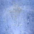 Photos: 蔵王の雪景色１１