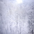 蔵王の雪景色１２
