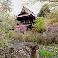 写真: 春  川場村の吉祥寺の山門