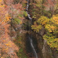 片品溪谷の滝の紅葉
