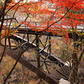 吹割大橋の紅葉