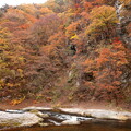 写真: 吹割の滝の紅葉２