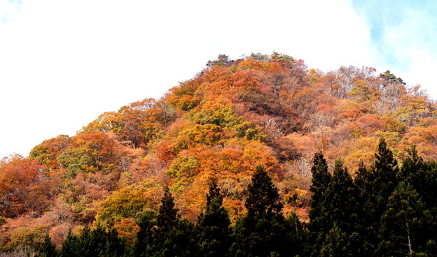 軽井沢の紅葉の山