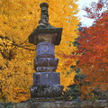 写真: 石塔と紅葉
