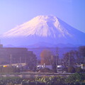 写真: 所沢よりの富士山A