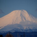 写真: 雨上り富士山