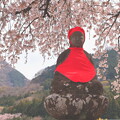 写真: 桜背景のお地蔵様