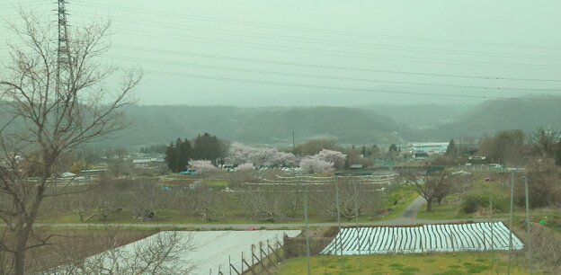 写真: 上信越道より春の風景