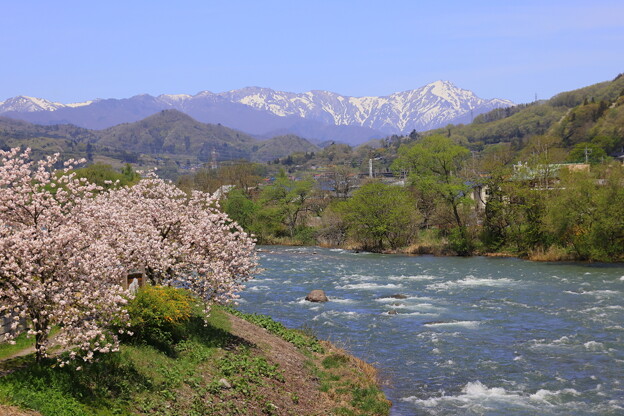 春の利根川と谷川岳