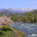 写真: 春の利根川と谷川岳