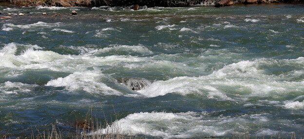 写真: 清流　利根川の流れ